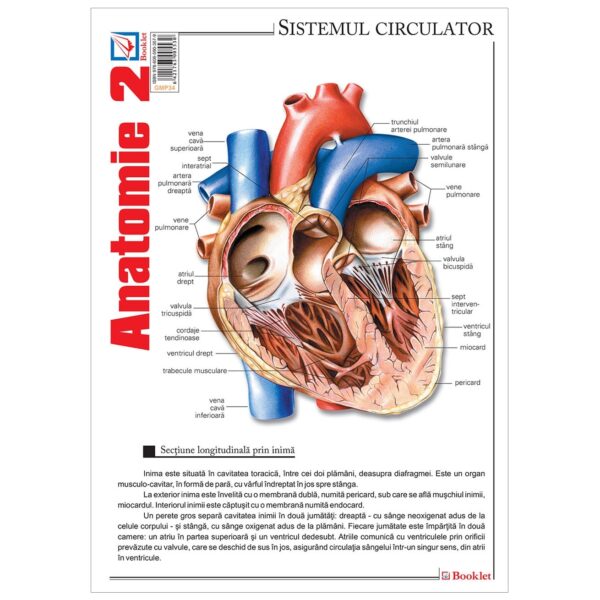 Pliant Anatomie 2